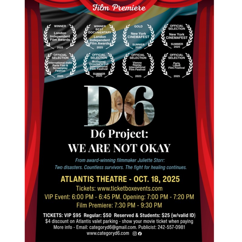 D6 Project: We Are Not Okay
